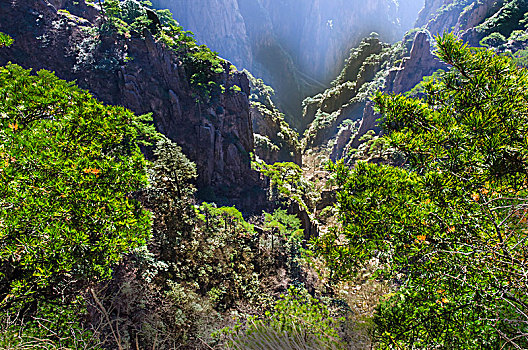 黄山风光