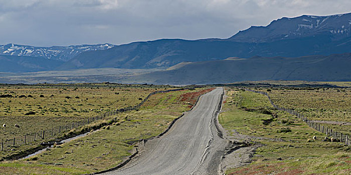 土路,通过,风景,托雷德裴恩国家公园,巴塔哥尼亚,智利