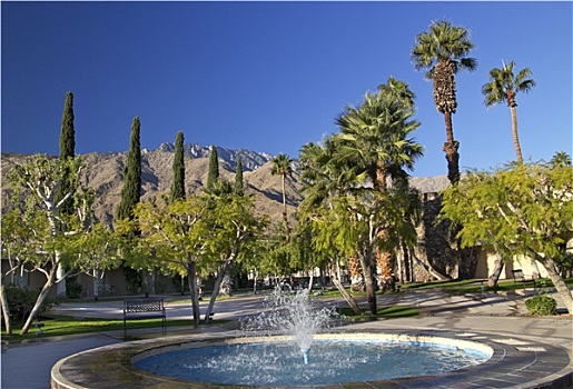扇形棕榈,树,蓝色,喷泉,棕榈泉,加利福尼亚