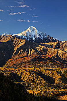 北美,美国,阿拉斯加,山,秋色