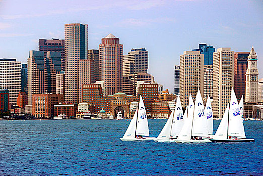 美国,马萨诸塞,波士顿,水岸,天际线,帆船