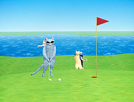 猫,高尔夫