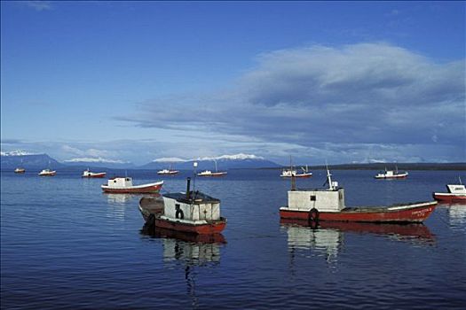 智利,巴塔哥尼亚,峡湾,渔船