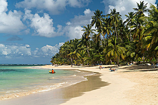 沙滩,棕榈树,萨玛纳,半岛,加勒比,多米尼加共和国,北美