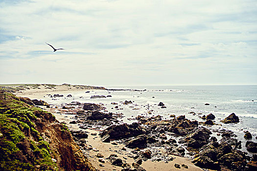 风景,岩石,海岸线,大,加利福尼亚,美国