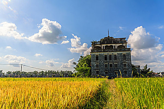 广东开平碉楼加拿大村