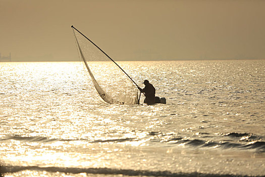 60岁的老渔民踩着高跷捕小虾,成了海边的一道独特景观