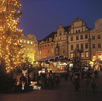 圣诞树,圣诞节,旧城,布拉格,捷克共和国,欧洲