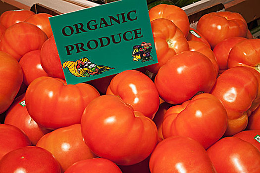 西红柿,标识,标示,有机,农产品,滑铁卢,魁北克,加拿大