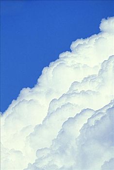 大,白色,蓬松云,蓝天背景