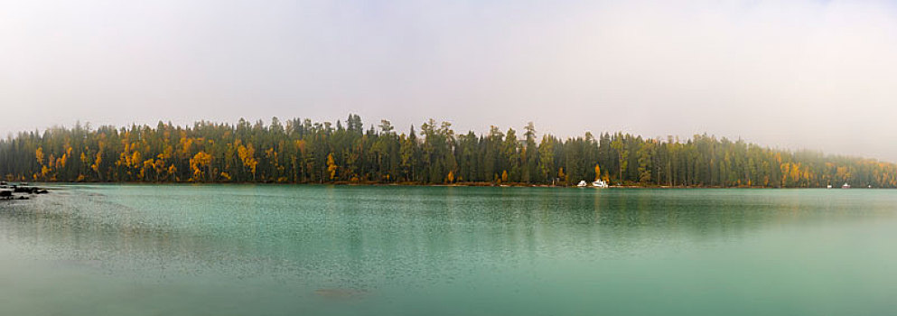 喀纳斯河风景