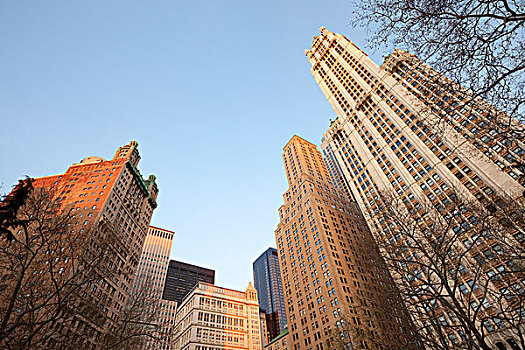 市区,建筑,曼哈顿,纽约,美国