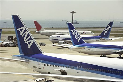 飞机,日本,航空公司,机场,东京,亚洲