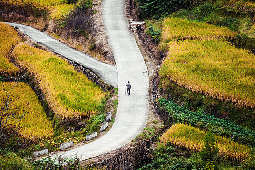 田间道路