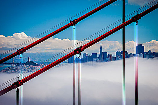 雾,上方,加利福尼亚,美国