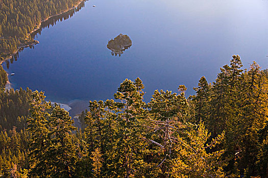 俯拍,翡翠湾,巫师岛,树,太浩湖,加利福尼亚
