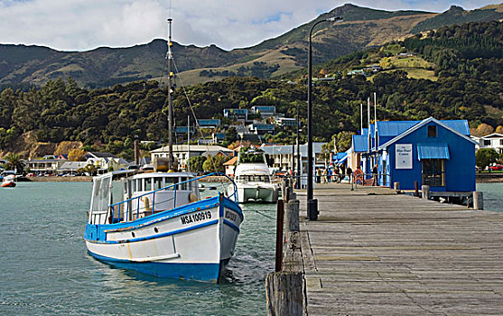 捕鱼,船,停泊,码头,阿卡罗瓦,港口,班克斯半岛,南岛,新西兰