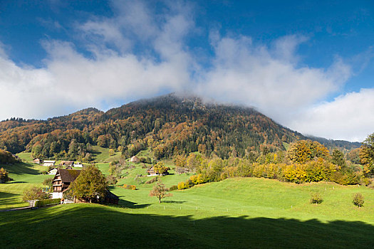 秋天,瑞士,阿尔卑斯山,雾,太阳