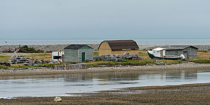 房子,海岸,水塘,格罗莫讷国家公园,纽芬兰,拉布拉多犬,加拿大