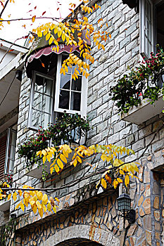 四川小镇,白鹿镇,中法欧式建筑,秋天窗户