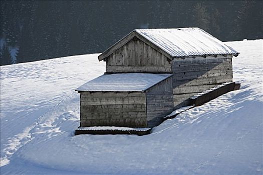 干草,存储,小屋,雪地,提洛尔,奥地利,欧洲