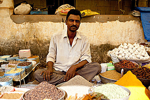 干燥,农产品,固定器具,市场,果阿,印度