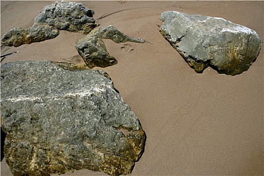 大,石头,褐色,沙滩,岸边