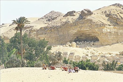 骆驼,休息,开罗,埃及