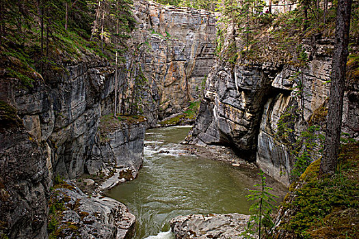 峡谷,碧玉国家公园,艾伯塔省,加拿大