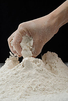 食品原材料-面粉