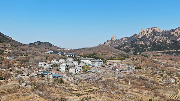 樱桃花开满山野,游客徜徉花海享受美好时光