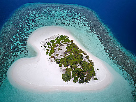 心形,无人,棕榈岛,沙滩,外滨,珊瑚礁,阿里环礁,印度洋,马尔代夫,亚洲