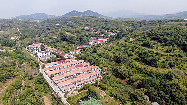 充填泵