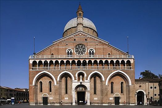 建筑,大教堂,圣徒,帕多瓦,威尼托,意大利