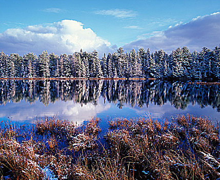 反射,湖,阿尔冈金省立公园,安大略省,加拿大
