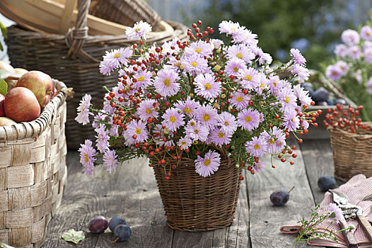 花束,紫苑属,玫瑰,篮子,花瓶