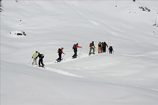 滑雪,国家公园,施蒂里亚,奥地利,欧洲