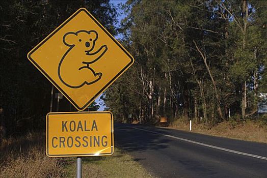 树袋熊,交通标志,新南威尔士,澳大利亚