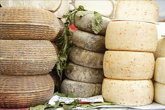 羊乳干酪,轮子,奶酪,乳酪店,市场,皮恩扎,托斯卡纳,意大利,欧洲