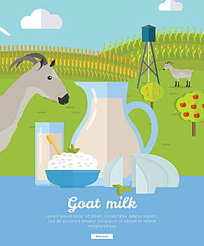 羊奶,牛奶,农场,概念,旗帜,矢量,设计,有机农牧,传统,商品,清洁,自然,食物,牛奶杯,奶酪,黄油,背景,山羊,乳业