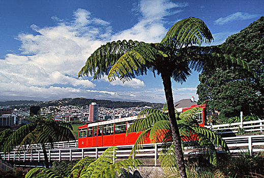 新西兰,有轨电车,惠灵顿,北岛