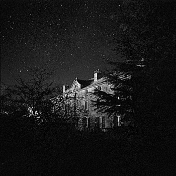 老,寺院,夜晚,奶白色,道路,围绕,树,法国,2008年