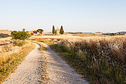 乡村道路,观,大麦域在夏天,托斯卡纳,意大利