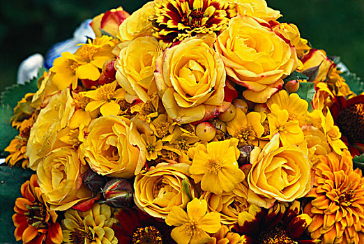 小,花束,黄色,玫瑰,金鸡菊属