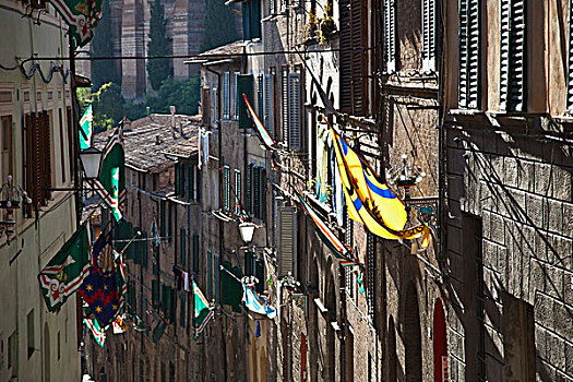 许多,旗帜,建筑,锡耶纳,意大利