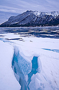 冰,裂隙,形态,海岸线,湖,攀升,艾伯塔省,加拿大