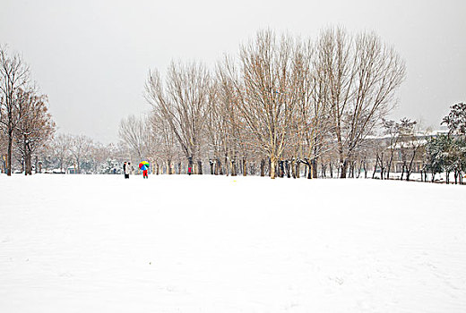 雪景