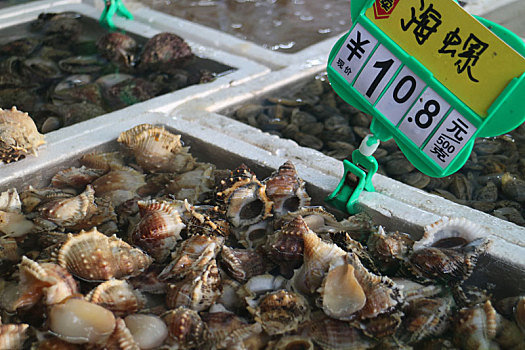 珠海外伶仃岛海鲜市场