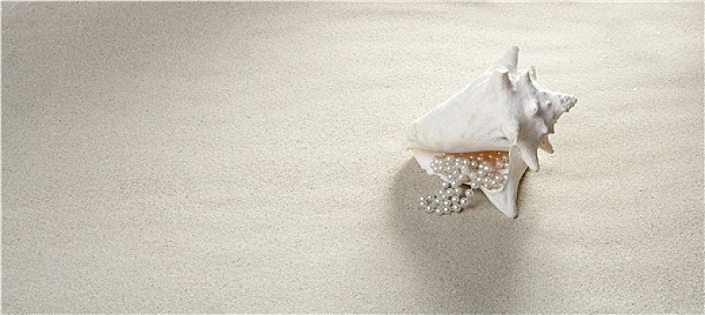 海滩,沙子,珍珠项链,壳,暑假