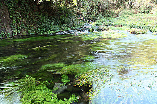 腾冲黑鱼河